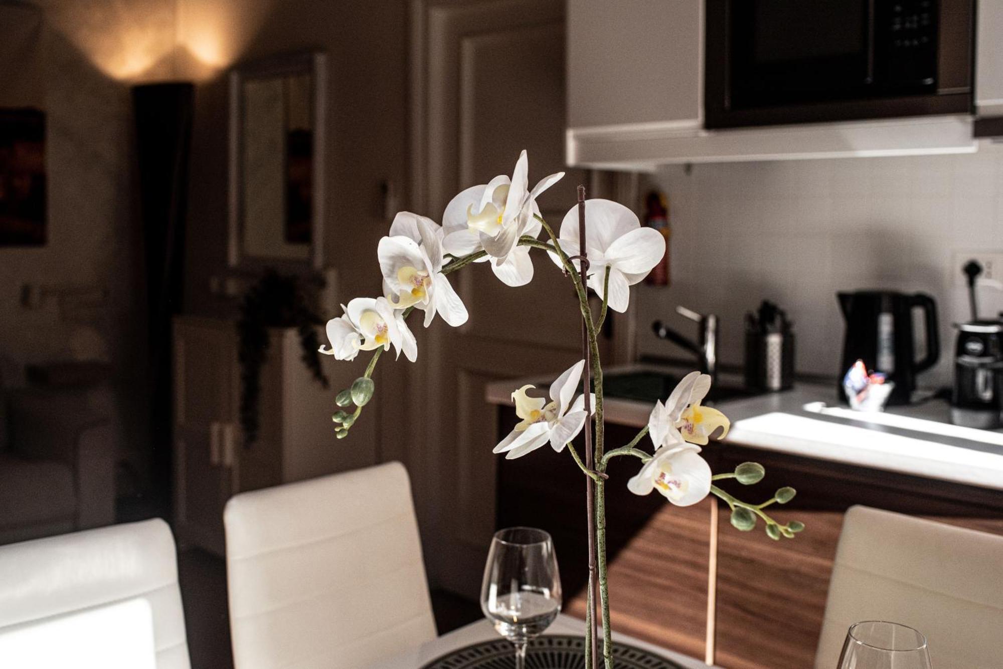 Spanish Steps Apartment & Terrace Rome Extérieur photo