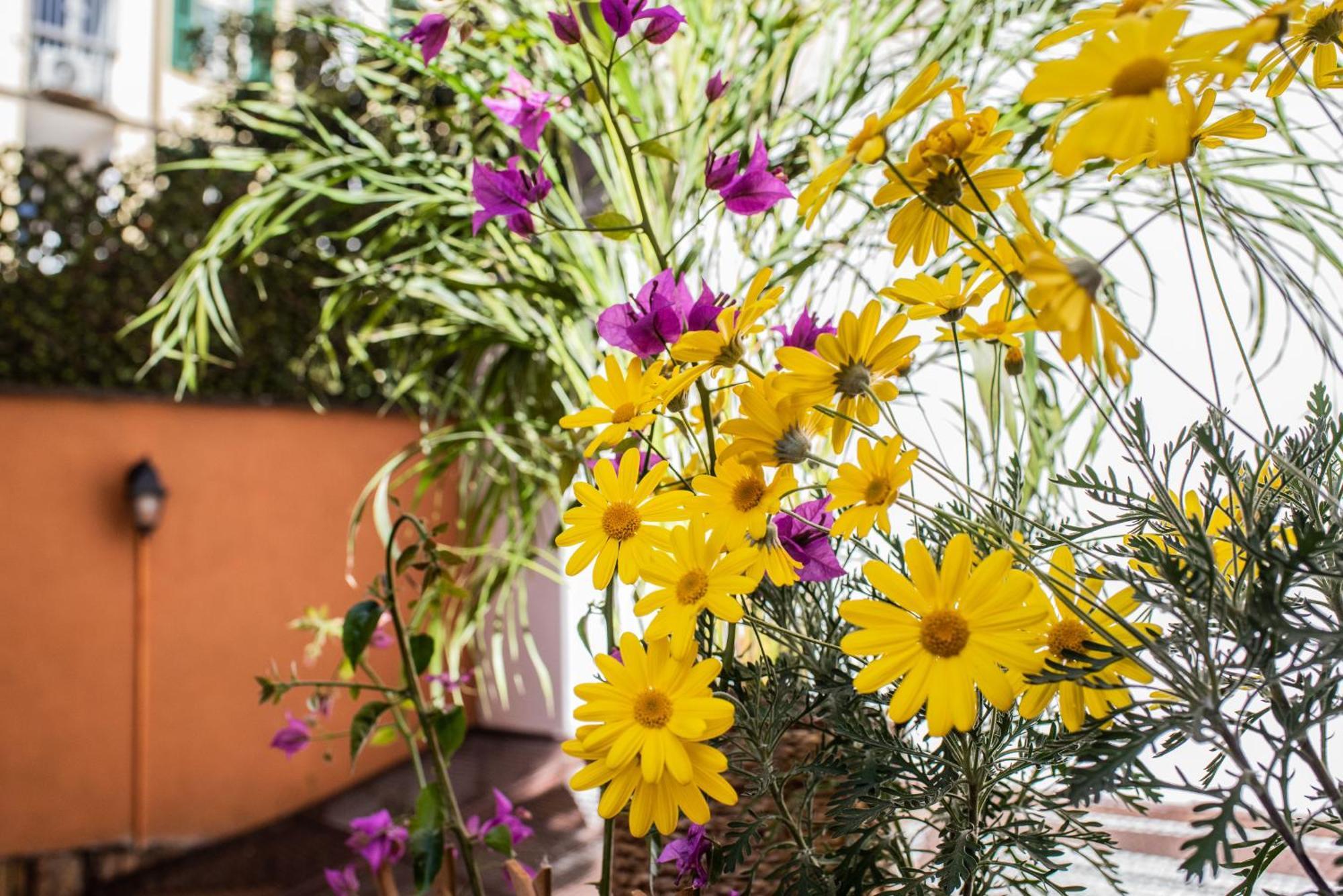 Spanish Steps Apartment & Terrace Rome Extérieur photo
